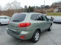 2009 Natural Khaki Hyundai Santa Fe GLS  photo #3