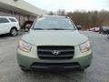 2009 Natural Khaki Hyundai Santa Fe GLS  photo #8