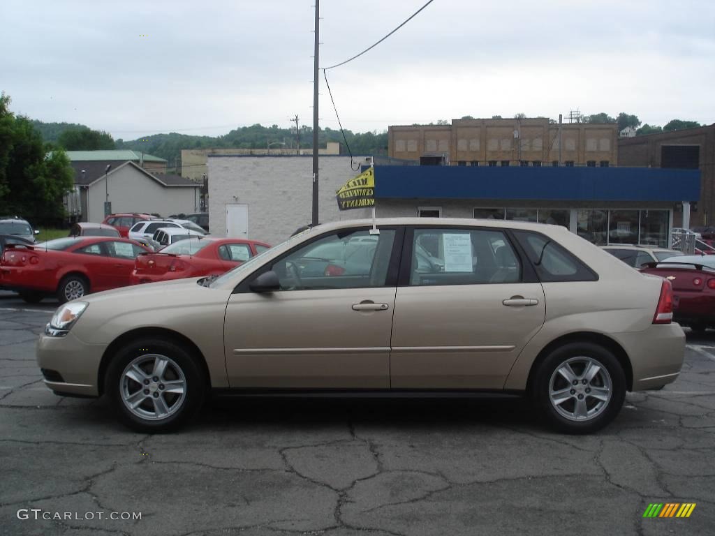 2005 Malibu Maxx LS Wagon - Light Driftwood Metallic / Neutral Beige photo #5