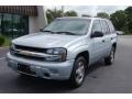 2008 Moondust Metallic Chevrolet TrailBlazer LS  photo #10