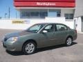 2006 Silver Green Metallic Chevrolet Malibu LT Sedan  photo #1