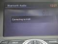Graphite Shadow - G 37 Journey Sedan Photo No. 33