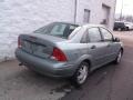 Light Tundra Metallic - Focus SE Sedan Photo No. 7