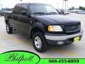 2001 Black Ford F150 XLT SuperCrew 4x4  photo #1