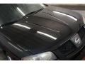 Blackout - Sentra SE-R Spec V Photo No. 39