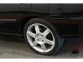 Blackout - Sentra SE-R Spec V Photo No. 56