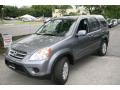 Pewter Pearl - CR-V SE 4WD Photo No. 1