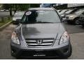 Pewter Pearl - CR-V SE 4WD Photo No. 2