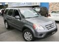 Pewter Pearl - CR-V SE 4WD Photo No. 3
