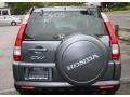 Pewter Pearl - CR-V SE 4WD Photo No. 6