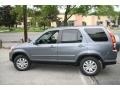 Pewter Pearl - CR-V SE 4WD Photo No. 9