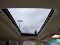 2010 Starfire White Pearl Lexus RX 350 AWD  photo #11