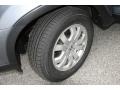 Pewter Pearl - CR-V SE 4WD Photo No. 22