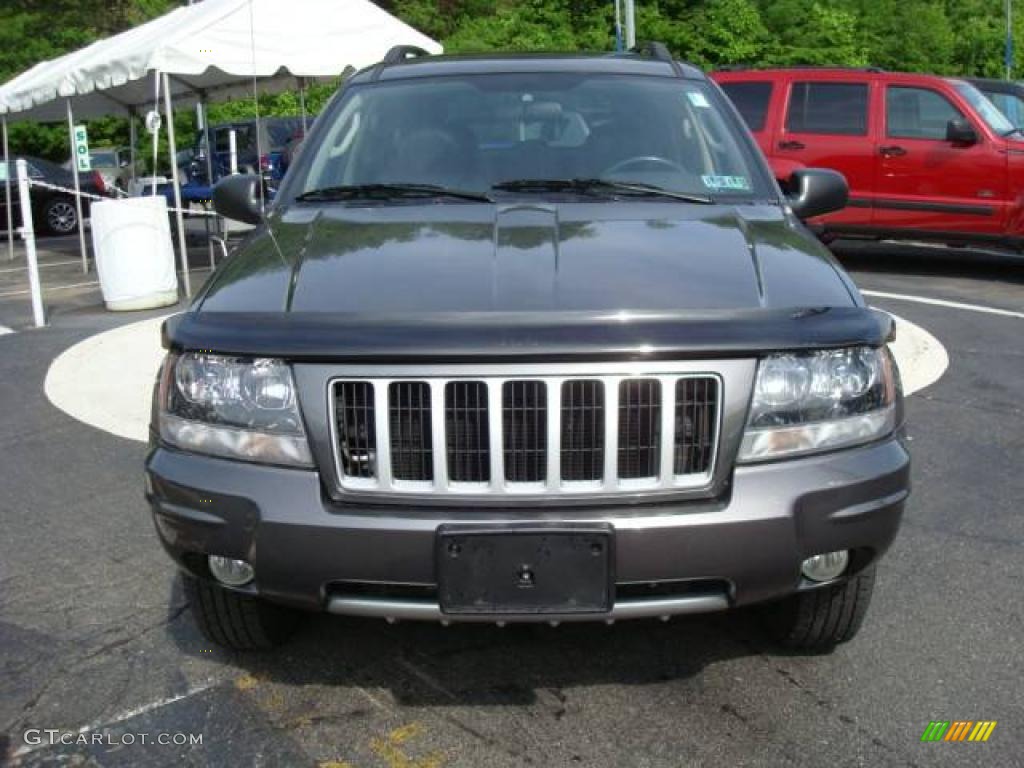 2004 Grand Cherokee Laredo 4x4 - Graphite Metallic / Dark Slate Gray photo #7