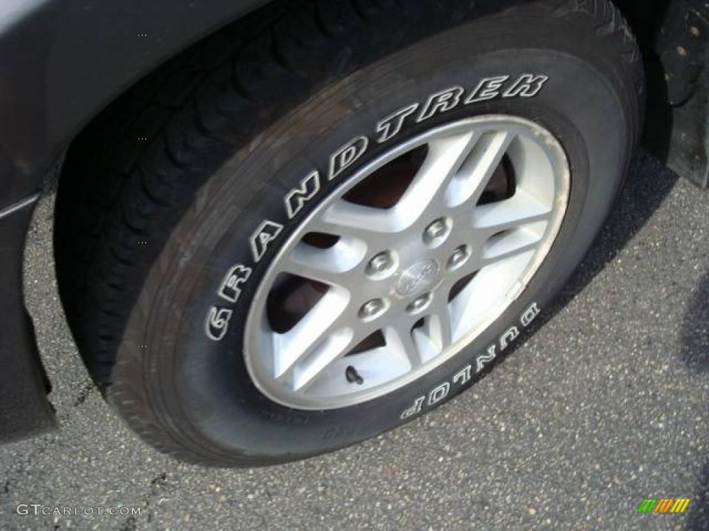 2004 Grand Cherokee Laredo 4x4 - Graphite Metallic / Dark Slate Gray photo #9