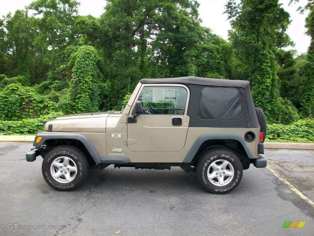 2004 Wrangler X 4x4 - Light Khaki Metallic / Dark Slate Gray photo #6