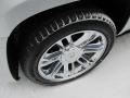 Silver Lining - Escalade ESV Platinum AWD Photo No. 4