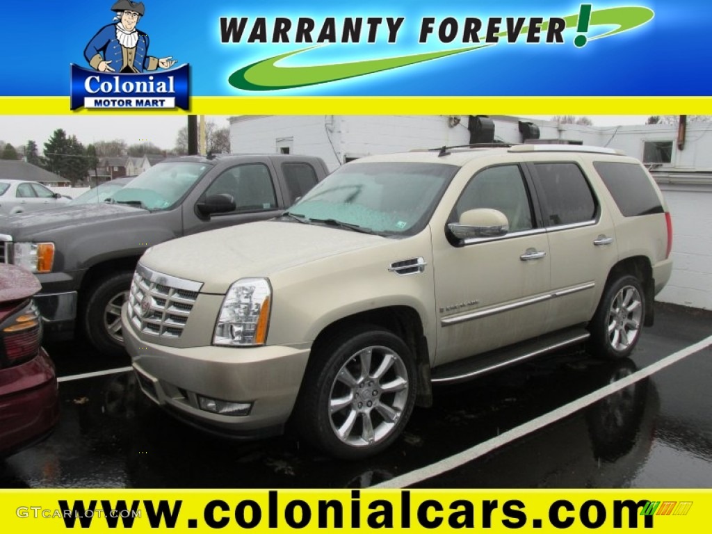 2009 Escalade AWD - Gold Mist / Cocoa/Cashmere photo #1