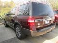 Bronze Fire Metallic - Expedition King Ranch Photo No. 7