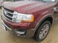 Bronze Fire Metallic - Expedition King Ranch Photo No. 16