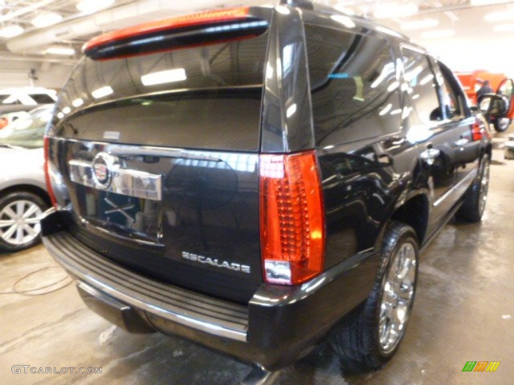 2010 Escalade Premium AWD - Black Ice / Cashmere/Cocoa photo #3