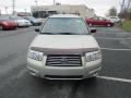 Champagne Gold Opal - Forester 2.5 X Photo No. 3