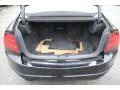 Nighthawk Black Pearl - TL 3.2 Photo No. 22