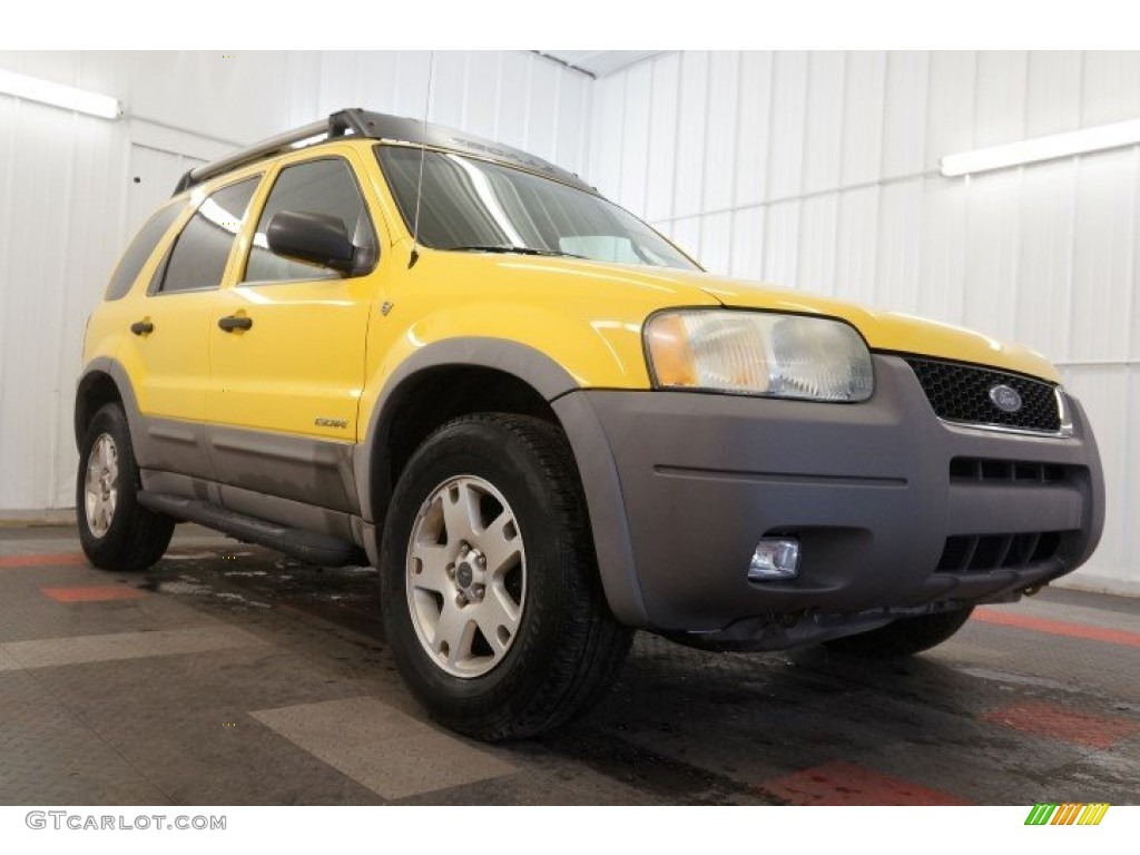 2002 Escape XLT V6 4WD - Chrome Yellow / Medium Graphite photo #5
