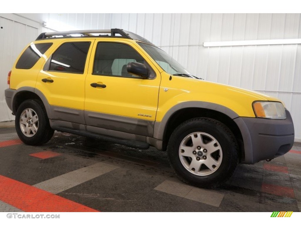 2002 Escape XLT V6 4WD - Chrome Yellow / Medium Graphite photo #6