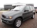 Highland Green Metallic - X5 3.0i Photo No. 1