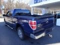 Dark Blue Pearl Metallic - F150 XLT SuperCrew 4x4 Photo No. 5