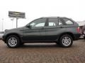 Highland Green Metallic - X5 3.0i Photo No. 2