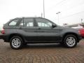 Highland Green Metallic - X5 3.0i Photo No. 6