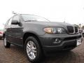 Highland Green Metallic - X5 3.0i Photo No. 7