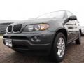 Highland Green Metallic - X5 3.0i Photo No. 9