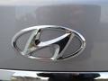 2013 Titanium Gray Metallic Hyundai Genesis 3.8 Sedan  photo #14