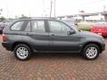 Highland Green Metallic - X5 3.0i Photo No. 14
