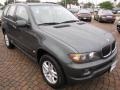 Highland Green Metallic - X5 3.0i Photo No. 15