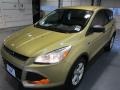 2015 Karat Gold Metallic Ford Escape S  photo #3