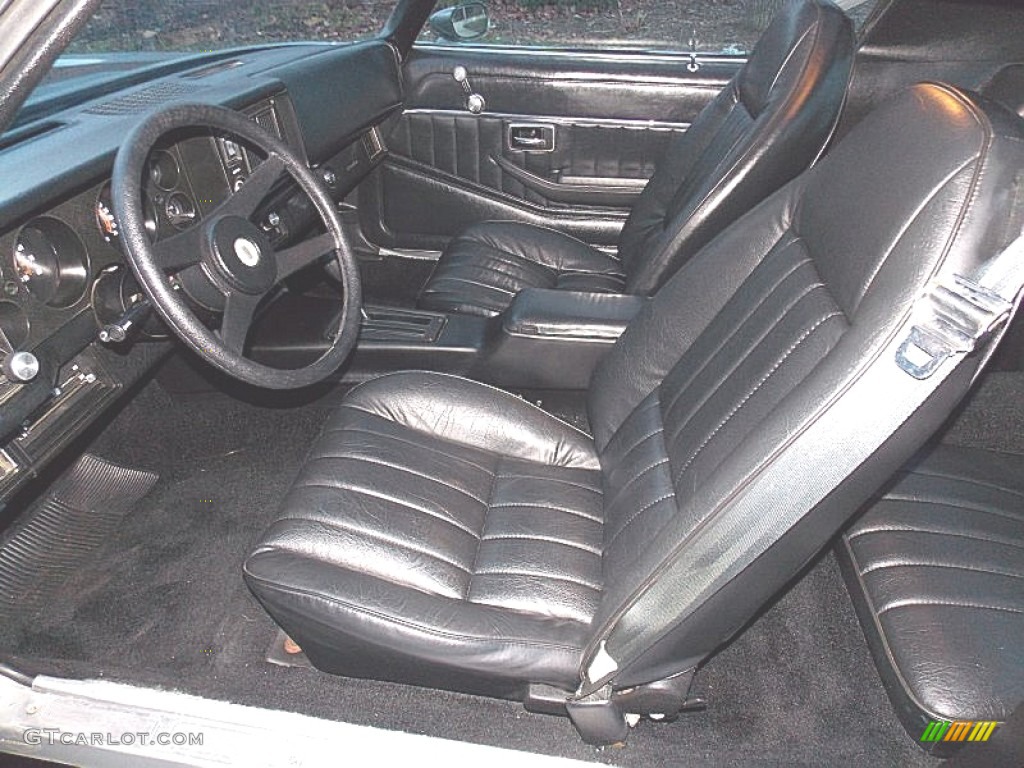 1980 Camaro Rally Sport Coupe - Silver / Black photo #15