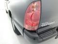 Magnetic Gray Metallic - Tacoma Access Cab Photo No. 14