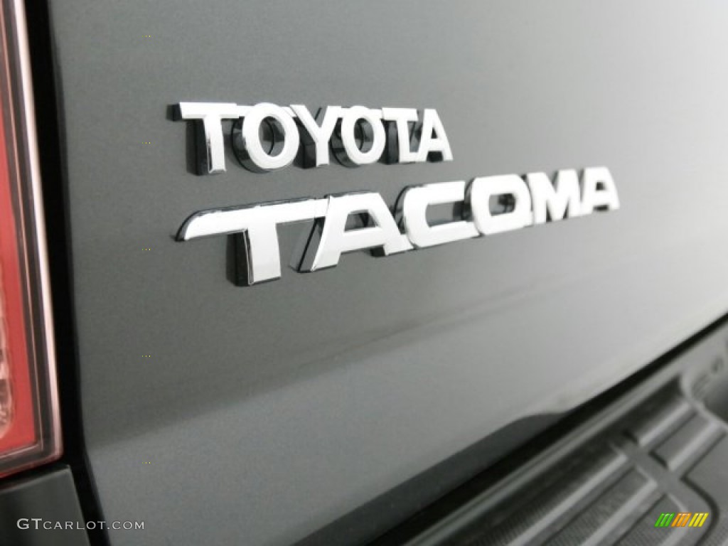 2015 Tacoma Access Cab - Magnetic Gray Metallic / Graphite photo #15