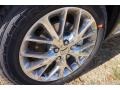 Granite Crystal Metallic - Durango Citadel Photo No. 5