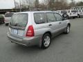 Platinum Silver Metallic - Forester 2.5 XS Photo No. 6