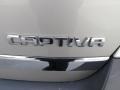 Champagne Silver Metallic - Captiva Sport LS Photo No. 13