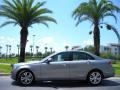 Palladium Silver Metallic - C 300 Luxury Photo No. 1