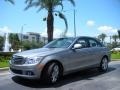 Palladium Silver Metallic - C 300 Luxury Photo No. 2
