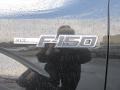 2014 Tuxedo Black Ford F150 XLT SuperCrew 4x4  photo #13