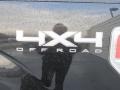 Tuxedo Black - F150 XLT SuperCrew 4x4 Photo No. 17