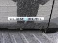 Tuxedo Black - F150 XLT SuperCrew 4x4 Photo No. 19